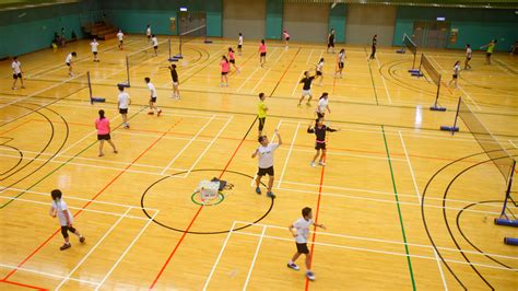 badminton software|Hong Kong Defends Sex Ed Advice That Includes Playing .